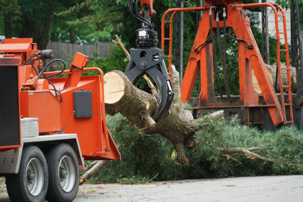 Best Lawn Irrigation Installation and Maintenance  in Newfield, NJ